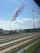 BirdWatcherFull.jpeg (1.03 MB) Bird Watcher