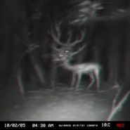 The first image of the creature.