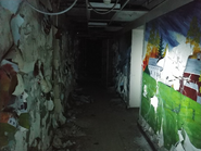 The background image for the first image of the creature.