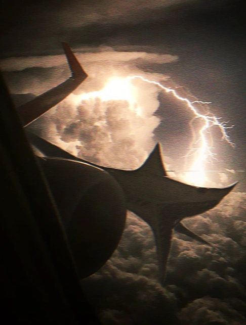 Airplane Shark | Trevor Henderson Oc Universe Wiki | Fandom