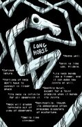 LongHorse4