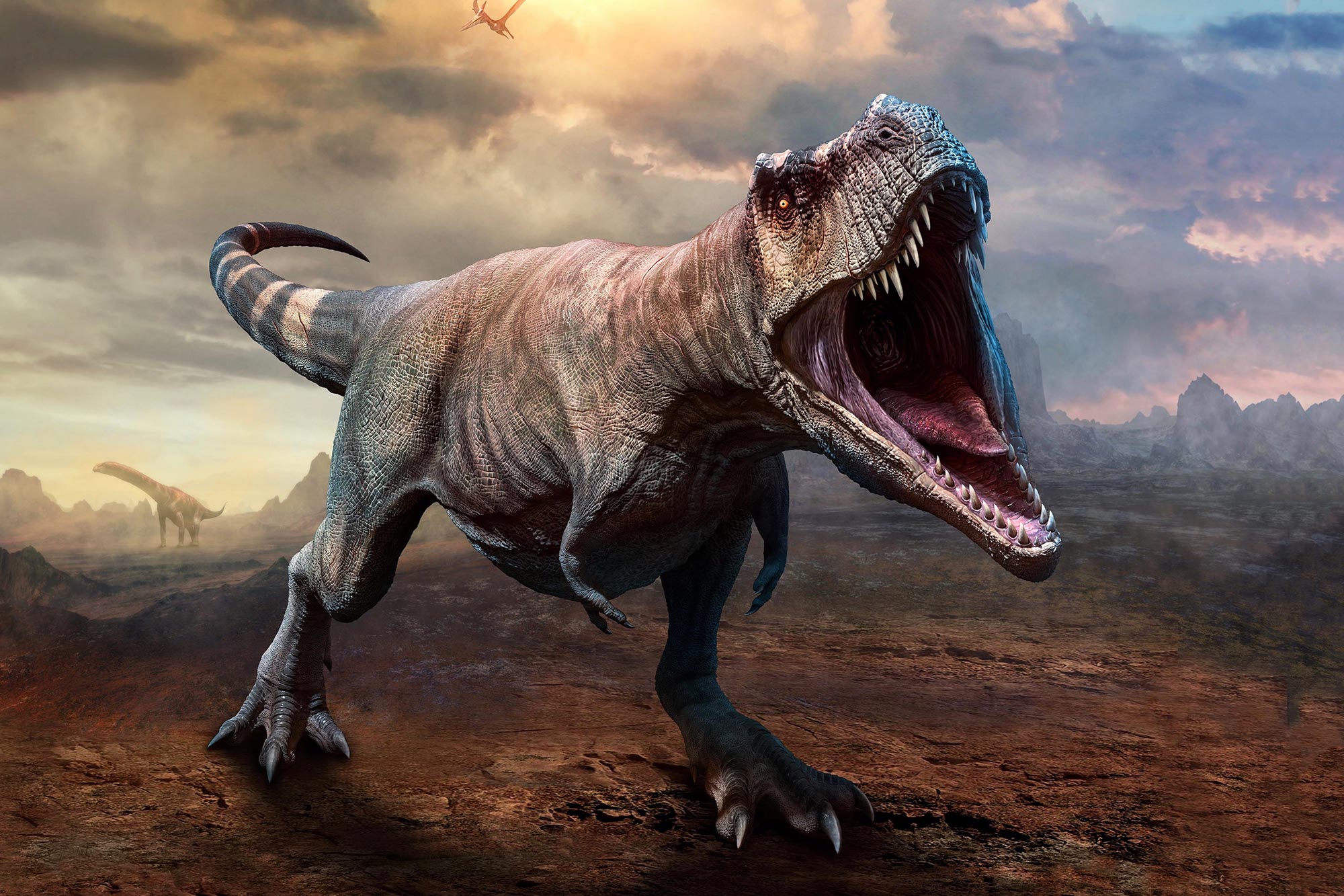 Zoologist Tyrannosaurus Rex Deluxe Bottle