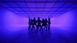 WOULD YOU RUN MV