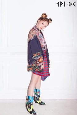 その他 jia Janus Monolayer of 1T-TaSSe: A Computational Study