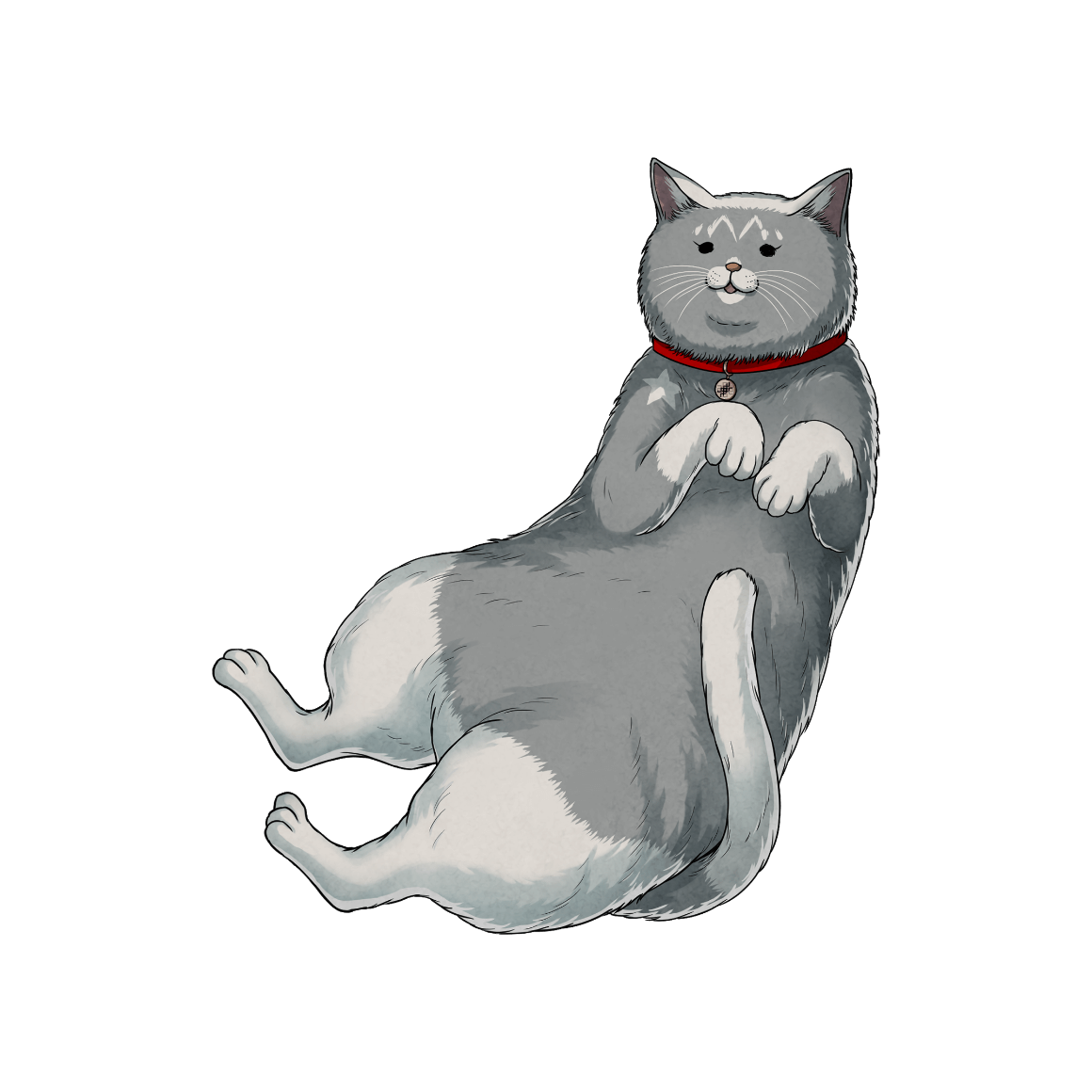nicomaru s-l400.jpg