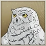 Snowy Owl