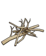 Branch Pile
