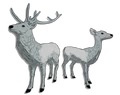 White Deer