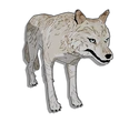 White Wolf