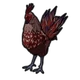 The Unnamed Rooster Pet