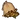 Mullein Essence