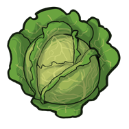 Cabbage - Official Tribes of Midgard Wiki