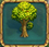 Tree.quest.png