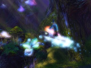 Wizard Surfing | Trine Wiki | Fandom