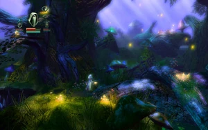A glade in the Forest