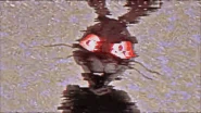 VannyCloseUp.gif (9.44 MB)