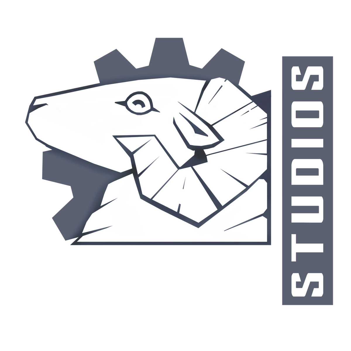 Steel Wool Studios 