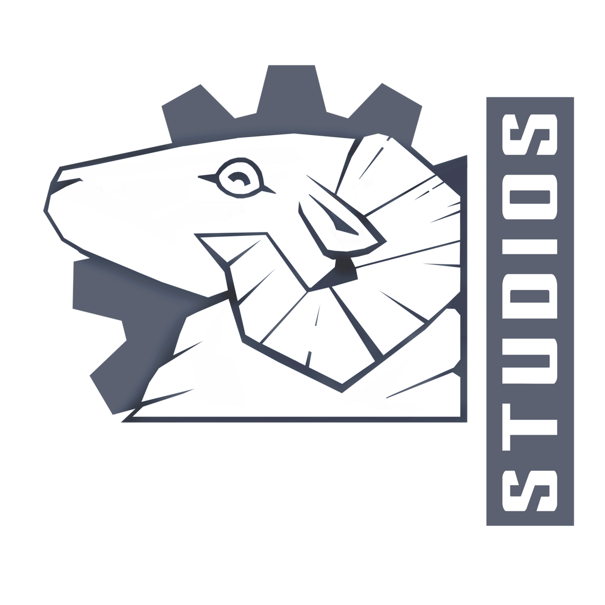 Steel Wool Studios