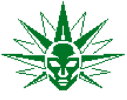 The face of the Sun that appears on F10-N4's monitors.