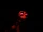 Withered Chica/Gallery