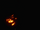 Jack-O-Bonnie/Gallery