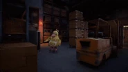 Party Time Chica wandering.