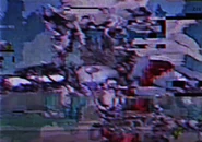 DamagedRoxyF&F.jpeg (91 KB)