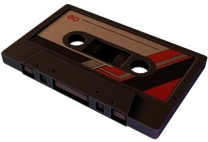 The cassette tapes.