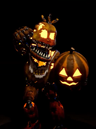 Jack-O-Chica