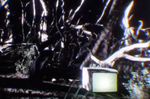 Trees.png