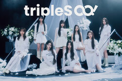 Untitled | tripleS Wiki | Fandom