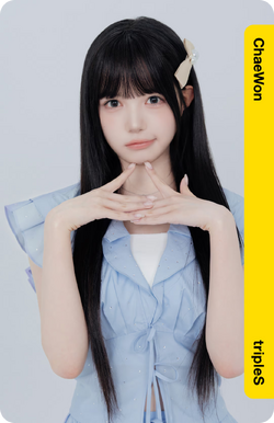 tripleS WAV JAPAN FC objekt チェウォン tripleS VIP限定 Objekt AA330 チェウォン ChaeWon - メルカリ