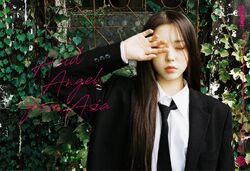 Acid Angel from Asia/Gallery | tripleS Wiki | Fandom