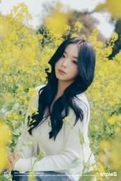 SGBW3-Jeju KCY 3.jpg (2.95 MB)