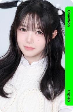 Kim ChaeWon/Gallery/Objekts | tripleS Wiki | Fandom