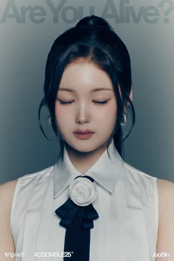 ASSEMBLE25 | tripleS Wiki | Fandom