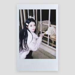 triples ユビン ポラロイド ♡ yubin object ☆