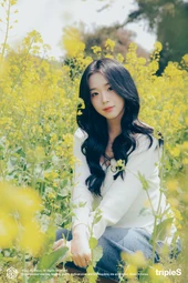 SGBW3-Jeju KCY 2.jpg (2.99 MB)