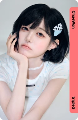 Kim ChaeWon/Gallery/Objekts | tripleS Wiki | Fandom