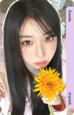 Kaede/Gallery/Objekts | tripleS Wiki | Fandom