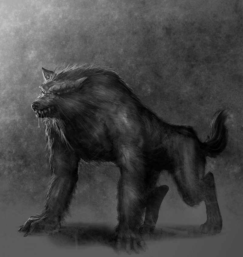 hexenbiest attacked by werewolf