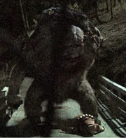 Ringlefinch next to Hans who is unconscious