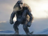 Troll