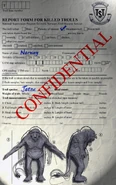 An English fan-made recreation of the report form Hans must sign.