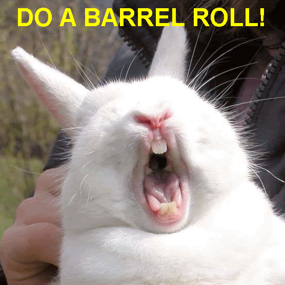 do a barrel roll animated gif