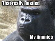 Rustledjimmies