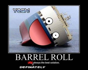 Hey-ship-do-a-barrel-roll-1rpo