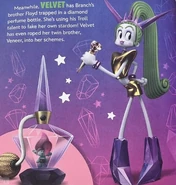 Velvet Book.jpg (102 KB) Velvet's page