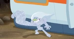 Glamping (249).png (2.74 MB)