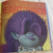 Bruce brothers book.jpg (706 KB)